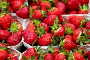 Frische, rote Erdbeeren in Kartons auf einem Markt.