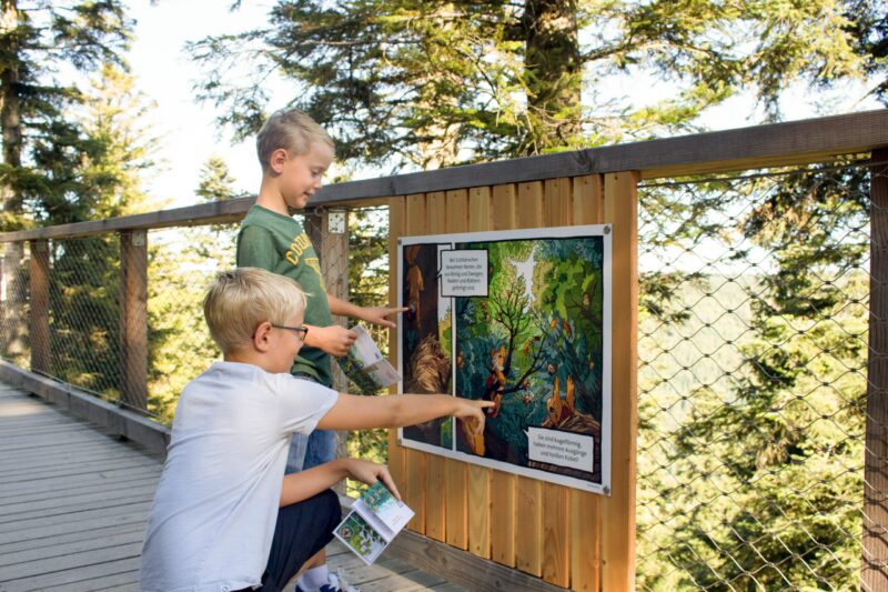 Zwei Jungen betrachten ein Informationsschild im Wald.