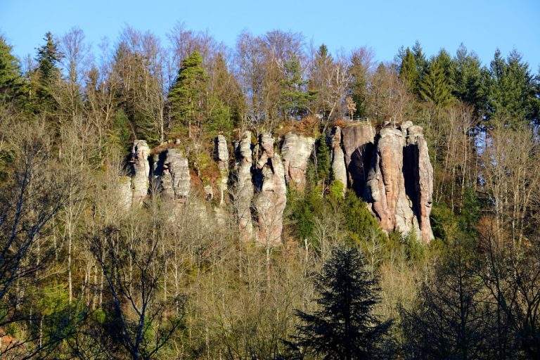 Felsenformation umgeben von Bäumen im Wald.