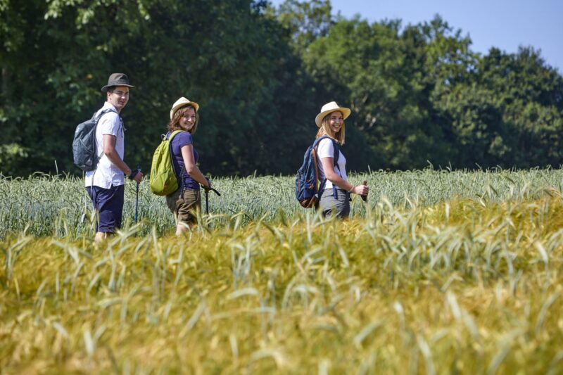Drei Wanderer in einem Feld mit Getreide, sonniger Tag.