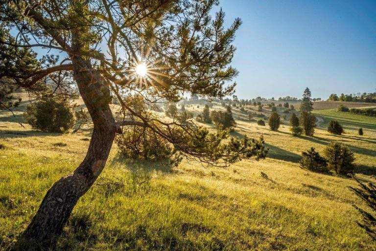 Mittlere Schwäbische Alb: Mit Rad und Wanderkarte auf Entdeckungsreise durch traumhafte Landschaften