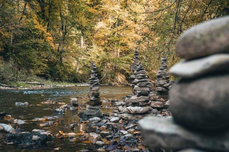 Wandertipp für die Sommerferien: die Drei-Schluchten-Wanderung im Schwarzwald – Ein atemberaubendes Naturerlebnis!