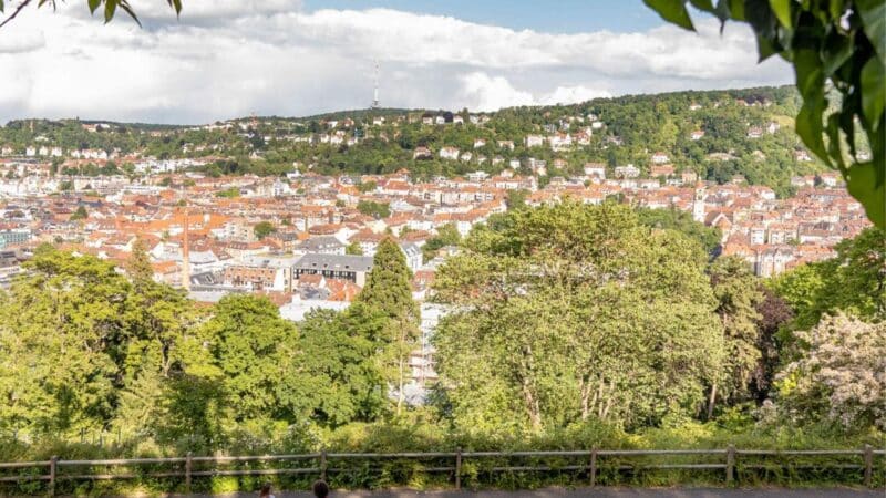 Blick auf eine Stadt mit vielen Häusern und Bäumen im Vordergrund.