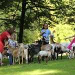 Ausflugstipp: Tierpark Bretten – Wo die wilden Dinge sind… und du mittendrin!