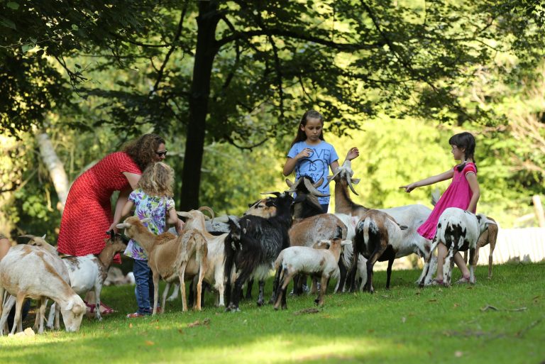 Ausflugstipp: Tierpark Bretten – Wo die wilden Dinge sind… und du mittendrin!
