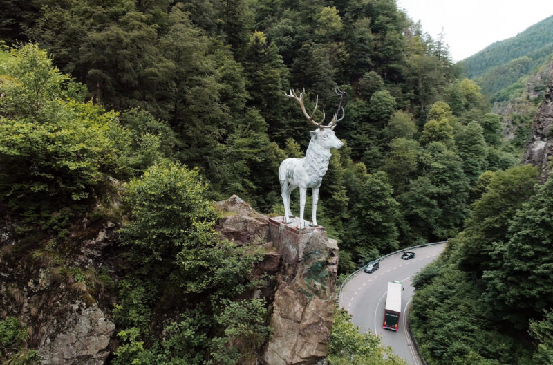 Weiße Hirschstatue auf einem Felsen in einer bewaldeten Umgebung.