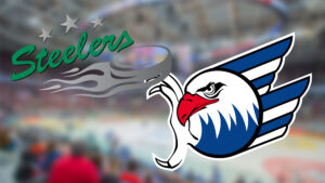 Logos der Steelers und eines Eishockeyteams vor verschwommenem Hintergrund.