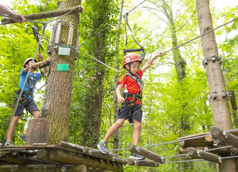 Erlebe den Nervenkitzel im Schwarzwald: 14 actiongeladene Tipps für unvergessliche Abenteuerferien Erlebe den Nervenkitzel im Schwarzwald: 14 actiongeladene Tipps für unvergessliche Abenteuerferien
