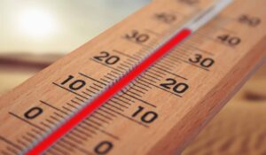 Holzthermometer mit rotem Quecksilber, zeigt 20 Grad Celsius an.