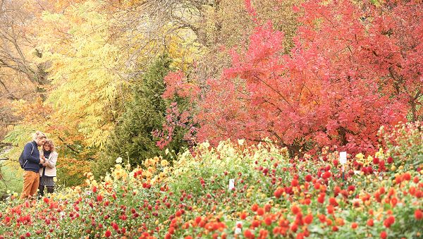 5 Unverzichtbare Herbsttipps für einen unvergesslichen Aufenthalt in Konstanz 996e60cd 13c9 40bd 8382 c8efd3264cff594029719 de image 1 6 1