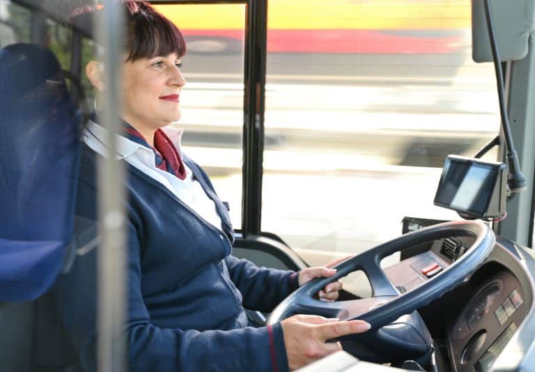 Elektrobusse erobern den Bodensee: Die Zukunft des Nahverkehrs ist grün!