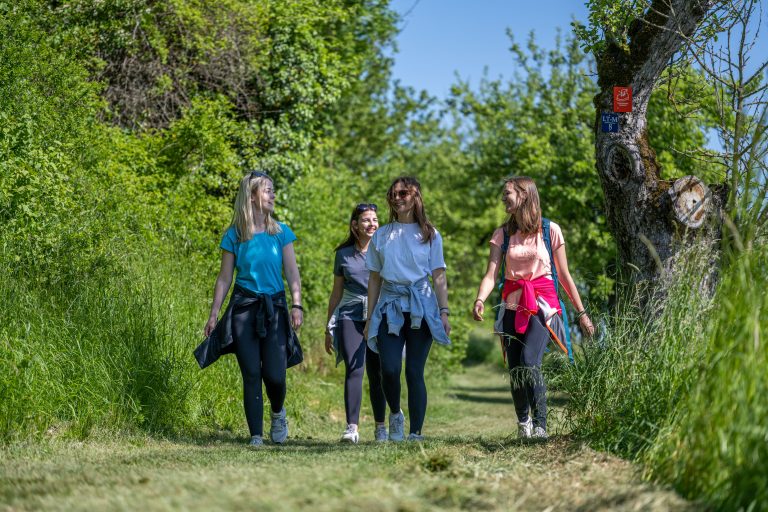 Wandertipp: Panoramaweg Taubertal erobert vierten Platz bei „Deutschlands schönstem Wanderweg“