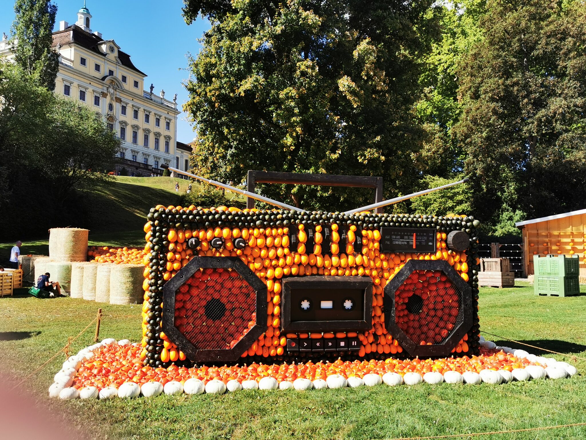 Großes Radio aus Obst und Gemüse auf einer Wiese.