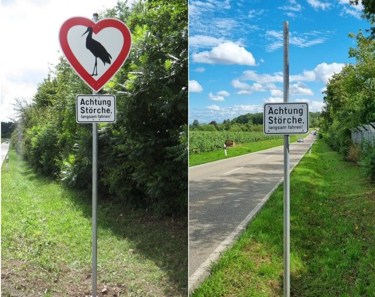 Herzlos in Tripsdrill: Wer stiehlt immer wieder die Weißstorch-Schilder?