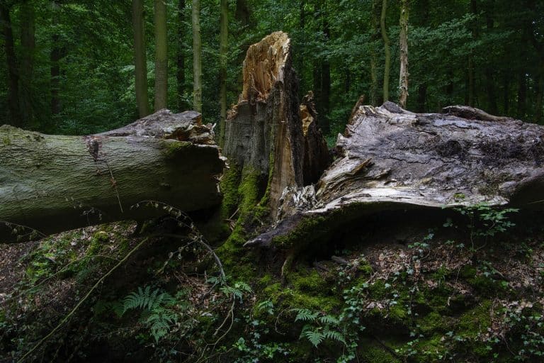Alarmstufe Rot auf der Schwäbischen Alb: Wenn Unwetter die Paradiese der Freizeit trifft!