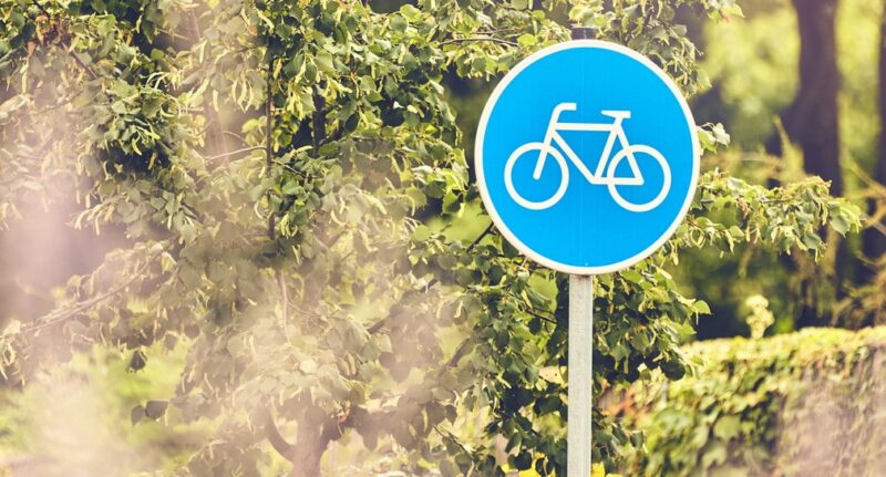 Blaues Verkehrsschild mit Fahrradsymbol vor Bäumen.