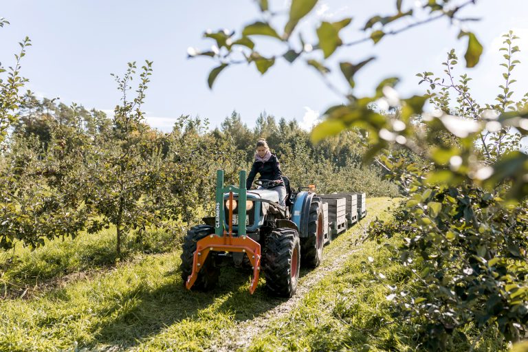 Ausflugstipp: Apfelrunde und Zwiebelkuchenfahrt – Ein kulinarisches Abenteuer am Bodensee
