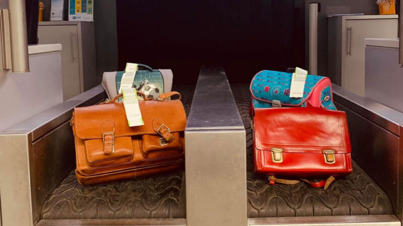 Zwei Taschen auf einem Gepäckband, eine braune und eine rote.