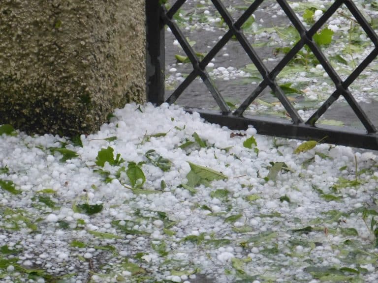 Der Hochsommer verabschiedet sich mit einem Knall!