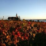 Herbstzauber am Bodensee: Kulinarische Radtouren, die begeistern