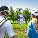 11 genussreiche Herbstabenteuer: Entdecke Baden-Württembergs kulinarische Schätze