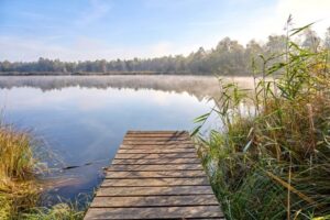 Holzsteg am ruhigen See mit Nebel und Bäumen im Hintergrund.