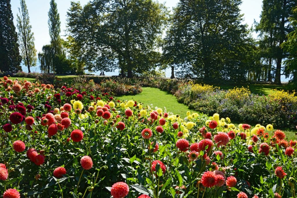 Der Goldene Gartenherbst: Ein Paradies für Gartenliebhaber in Baden-Württemberg