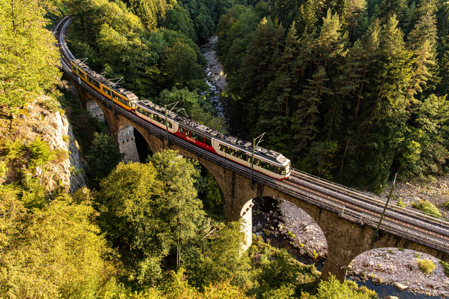 Zug überquert eine Brücke in einer bewaldeten Landschaft.