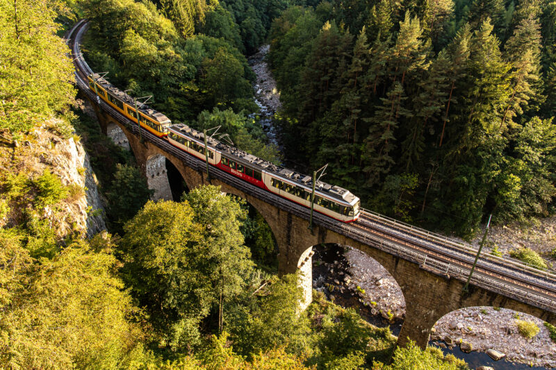 Zug überquert eine Brücke in einer bewaldeten Landschaft.