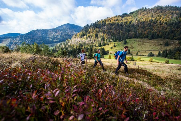 Wandern: Mehr als nur ein Spaziergang im Grünen