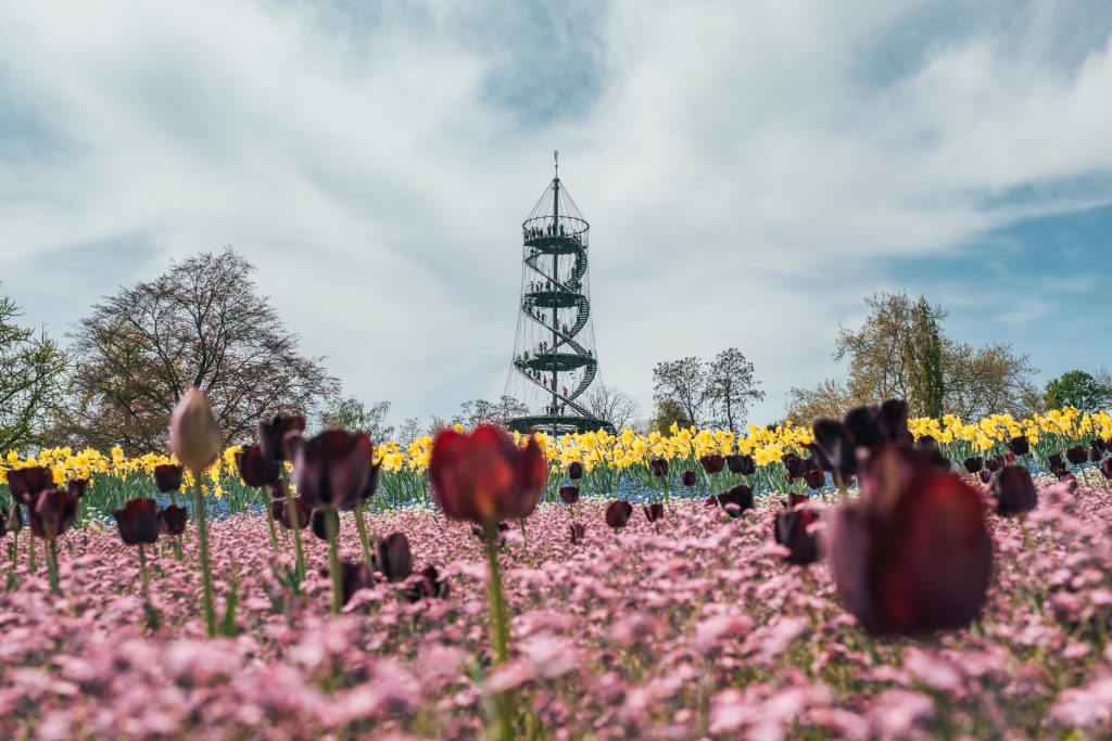 Über den Dächern von Stuttgart: 8 spektakuläre Aussichtspunkte im Herzen Baden-Württembergs Blumen Auf Dem Stuttgarter Killesberg