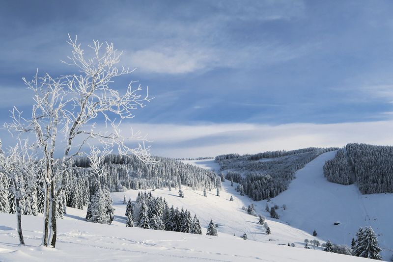 Magie des Winters im Hochschwarzwald: 40 unvergessliche Wandererlebnisse Rother Bild 1