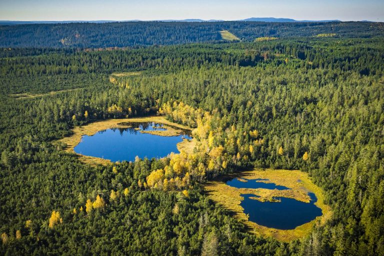 Deutschland wählt das Naturwunder des Jahres: 3 Kandidaten aus dem Ländle im Rennen
