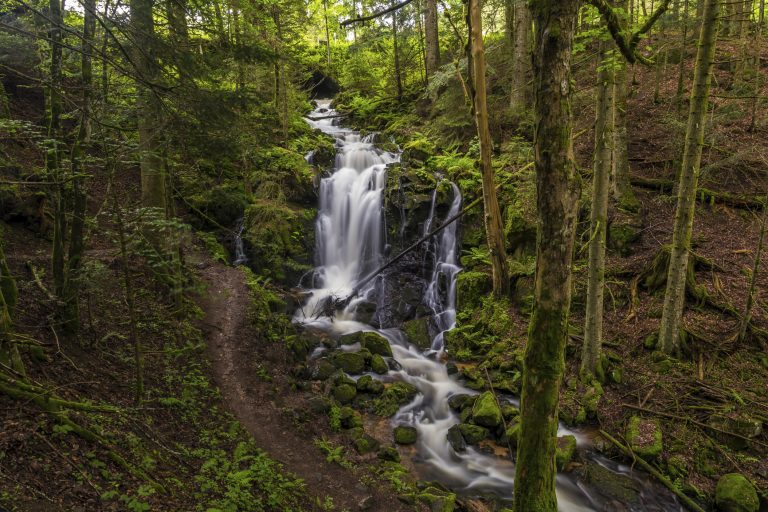 Spritzige Herbststimmung: 3 spektakulären Wasserfälle des Hochschwarzwalds, die man gesehen haben muss