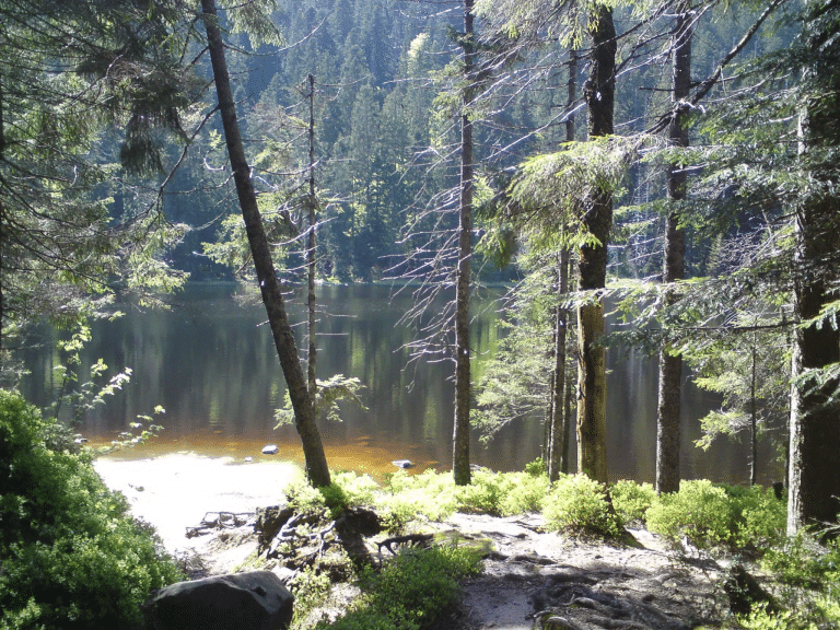 TV-Tipp: Expedition in die Heimat – Unterwegs im Murgtal