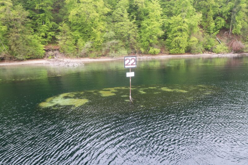 Wasser mit einer Boje, die die Nummer 22 zeigt, umgeben von grünen Bäumen.