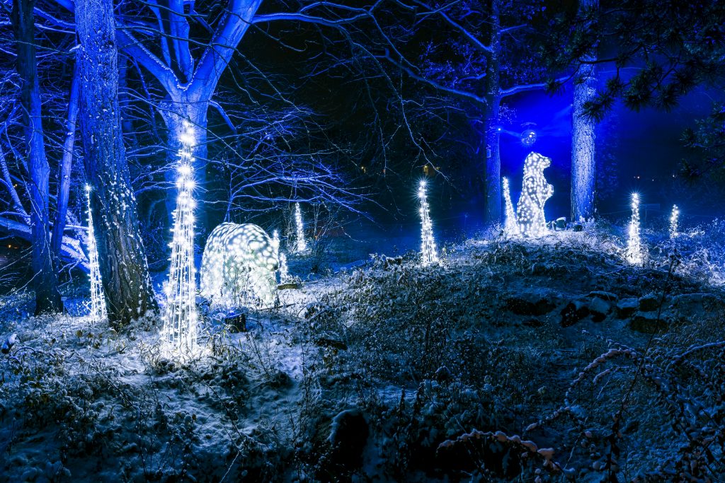 Funkelnde Weihnachtswunderwelt in Karlsruhe: Der Christmas Garden erstrahlt in vollem Glanz Christmas Garden Berlin 2021 Eiswelt%C2%A9Christmas Garden Michael Clemens 1 1