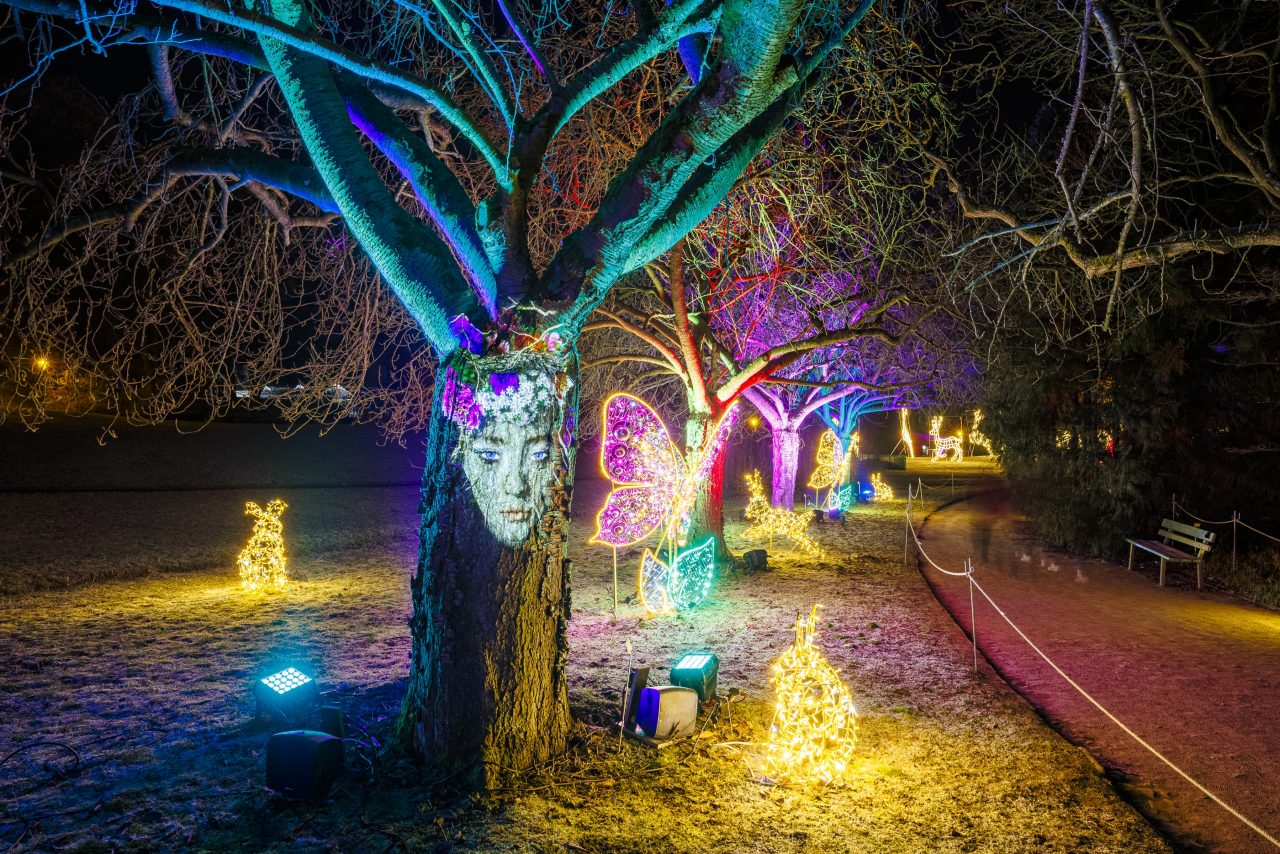 Funkelnde Weihnachtswunderwelt in Karlsruhe: Der Christmas Garden erstrahlt in vollem Glanz