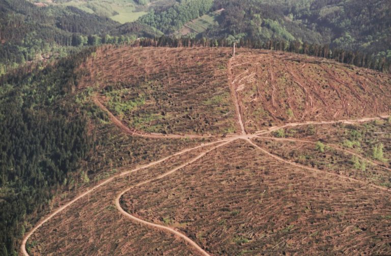Weihnachten ’99: Sturm Lothar hinterlässt Tod und Zerstörung – Milliarden-Schäden in Europa!