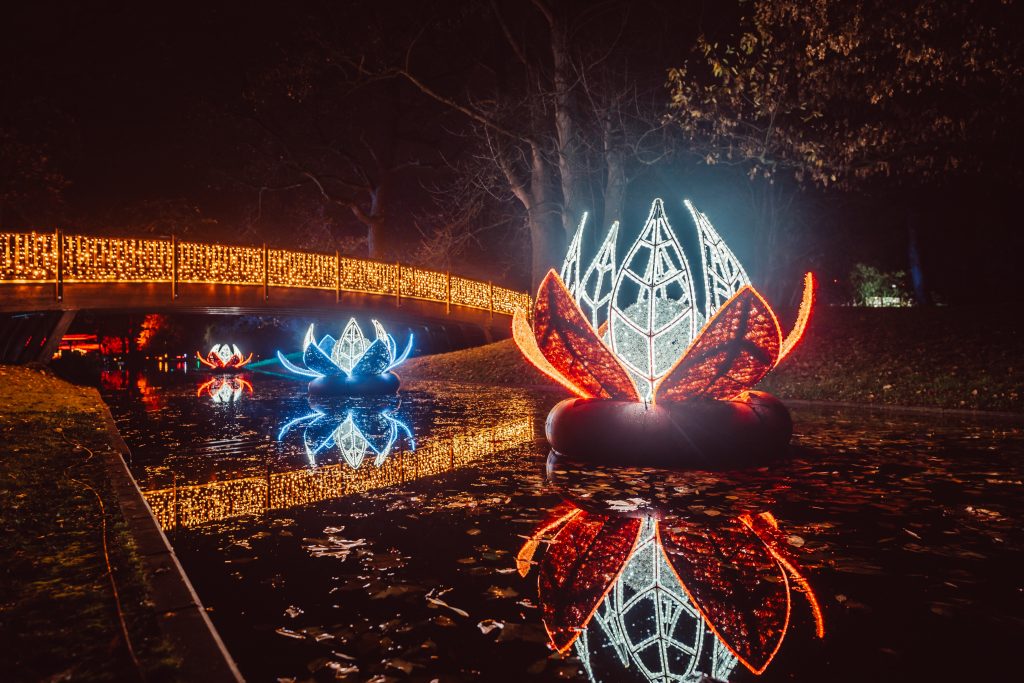 Ausflugstipp: Christmas Garden in Baden-Württemberg: Drei Lichterwelten noch bis 2024 geöffnet! Christmas Garden Karlsruhe 2023 Blumige Aussichten%C2%A9Christmas Garden Stefan Hegenberg