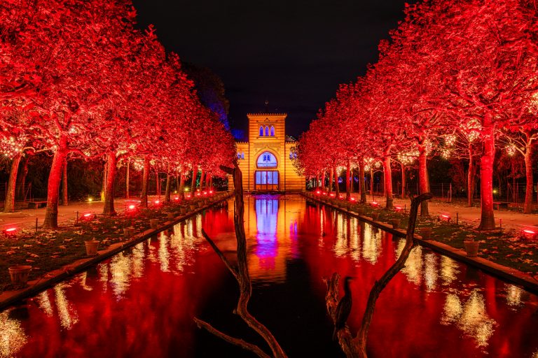 Ausflugstipp: Christmas Garden in Baden-Württemberg: Drei Lichterwelten noch bis 2024 geöffnet!