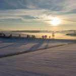 Winterlandschaft mit verschneiten Feldern, Sonnenaufgang am Horizont und leichtem Nebel, der die Szenerie umhüllt. Baumreihen und eine Landstraße durchziehen die verschneite Landschaft.