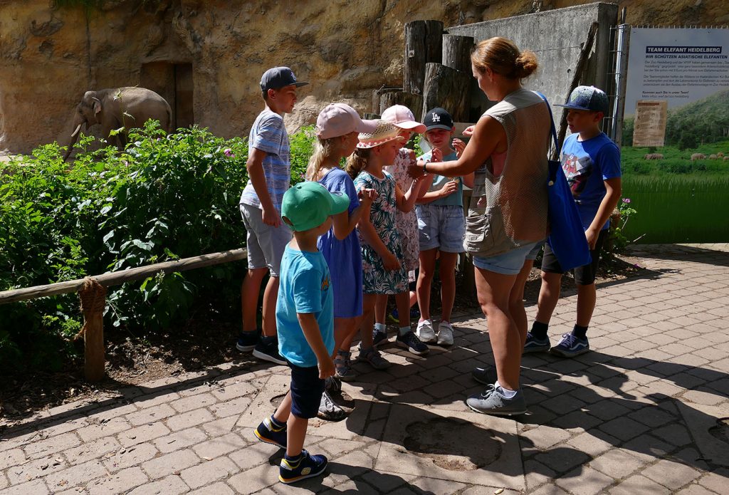 Neues Jahr, neue Entdeckungen: Zoo-Akademie Heidelberg präsentiert Programm 2024