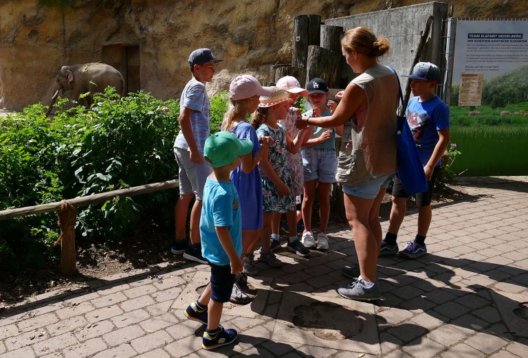 Neues Jahr, neue Entdeckungen: Zoo-Akademie Heidelberg präsentiert Programm 2024