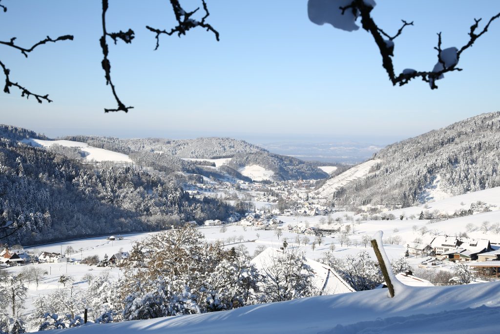 Weihnachtlicher Ausflugstipp: Besinnlicher Spaziergang & himmlische Begegnungen auf dem Glottentäler Engelweg 4 Weihnachtlicher Ausflugstipp: Besinnlicher Spaziergang & himmlische Begegnungen auf dem Glottentäler Engelweg Glott Winter Blick nach Westen ueber den Ort G52A6794 bw
