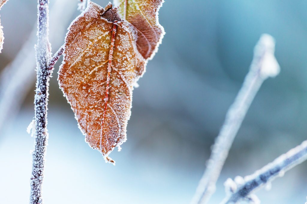 Wetter Update 14.12.23: Frischer Wind und Frostige Nächte in Baden-Württemberg