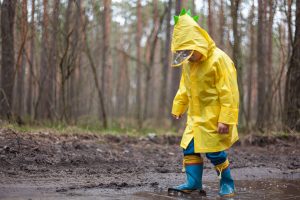 Wetter in Baden-Württemberg: Sturmböen im Schwarzwald, milde Luft im Land & der Ausblick auf das Wochenende Wetter in Baden-Württemberg: Sturmböen im Schwarzwald, milde Luft im Land & der Ausblick auf das Wochenende