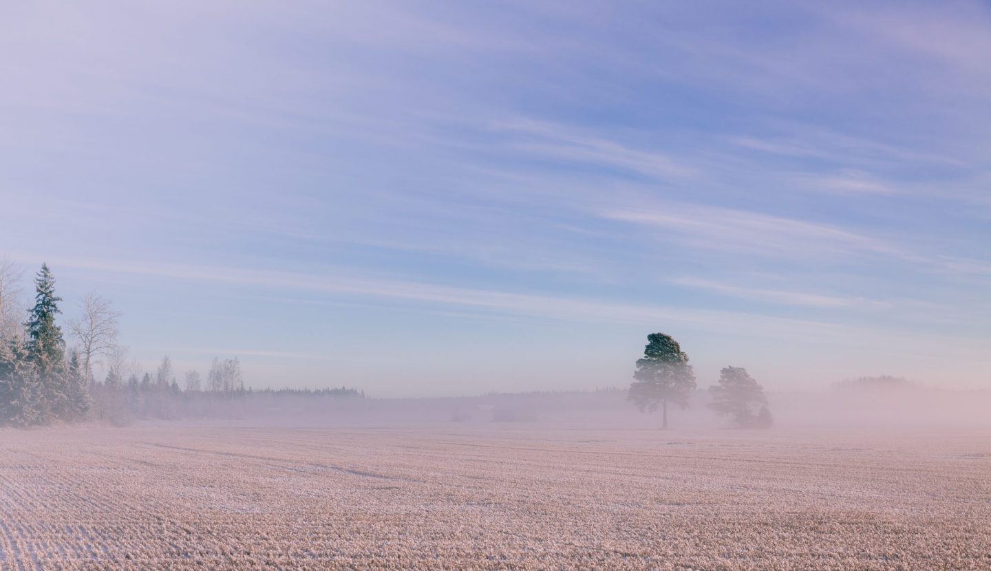 Eine frostige Winterlandschaft mit leichtem Nebel über einem Feld. Die gefrorene Erde und die kahlen Bäume im Hintergrund erzeugen eine ruhige, kalte Atmosphäre. Der Himmel zeigt eine Mischung aus Blau- und Pastelltönen, während einzelne Bäume aus dem Nebel hervorragen.