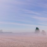 Eine frostige Winterlandschaft mit leichtem Nebel über einem Feld. Die gefrorene Erde und die kahlen Bäume im Hintergrund erzeugen eine ruhige, kalte Atmosphäre. Der Himmel zeigt eine Mischung aus Blau- und Pastelltönen, während einzelne Bäume aus dem Nebel hervorragen.