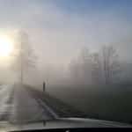 Wetter in Baden-Württemberg: Mildes Intermezzo mit Tücken – Zwischen Sonne, Nebel und Glatteis